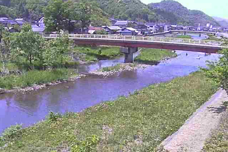 蒲生川探検コース